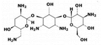 Tobramycin_structure_graphic